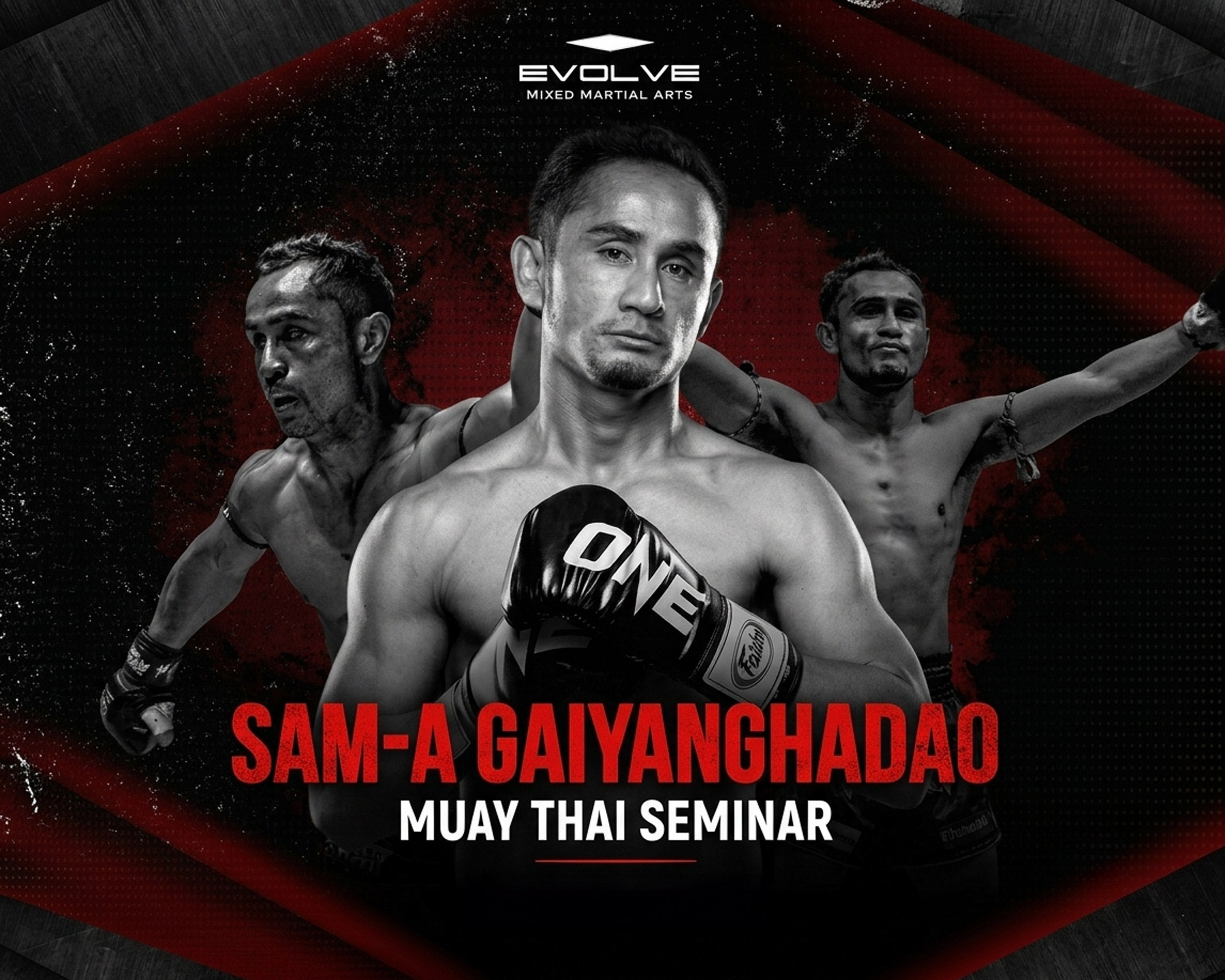 Evovle-MMA