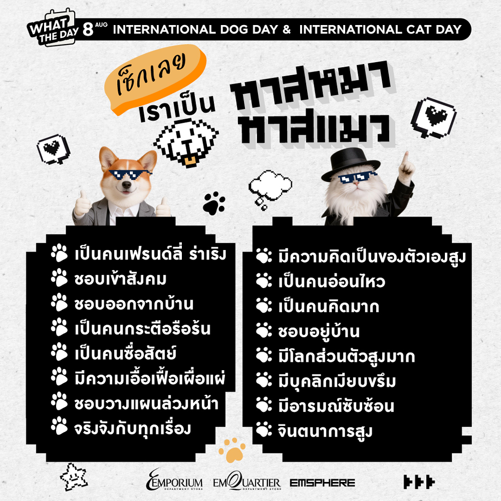 วันแมวโลก&วันสุนัขโลก เช็กเลยเราเป็นทาสหมาหรือทาสแมว 2026