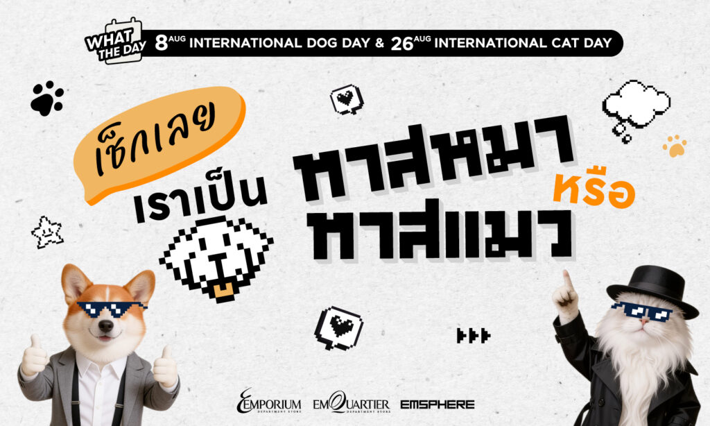 วันแมวโลก&วันสุนัขโลก เช็กเลยเราเป็นทาสหมาหรือทาสแมว 2026
