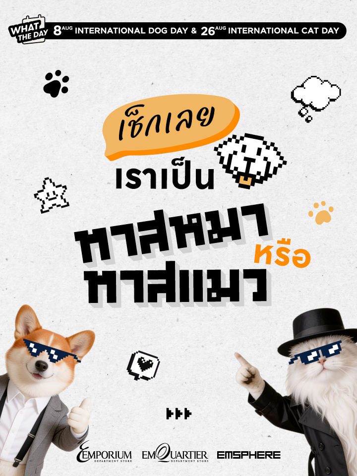 วันแมวโลก&วันสุนัขโลก เช็กเลยเราเป็นทาสหมาหรือทาสแมว 2026